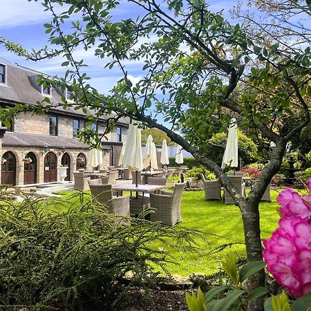 Le Friquet Hotel Castel Eksteriør billede